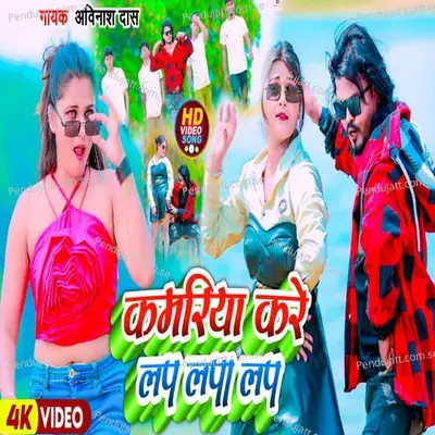 Kamariya Kare Lap Lapa Lap - Vijay Raj album cover 