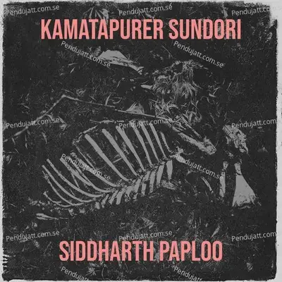 Kamatapurer Sundori - Siddharth Paploo album cover 