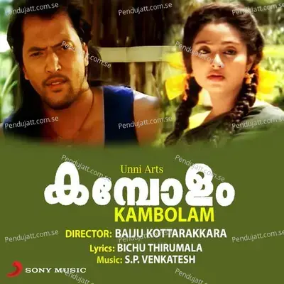 Naikkerimbukoodu - S. P. Venkatesh album cover 