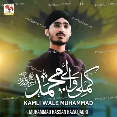 Kamli Wale Muhammad - Muhammad Hassan Raza Qadri album cover 