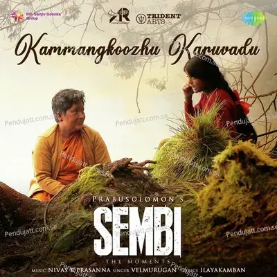 Kammangkoozhu Karuvadu - Nivas K Prasanna album cover 