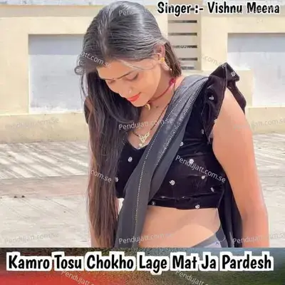 Kamro Tosu Chokho Lage Mat Ja Pardesh - Vishnu Meena album cover 