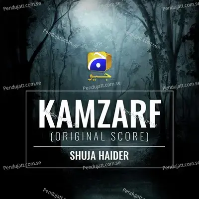 Kamzarf - Shuja Haider album cover 