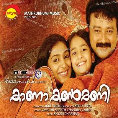 Adamalle - Shyam Dharman album cover 