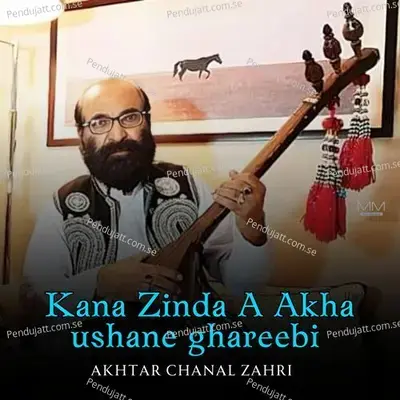 Bewasi Na Kishka Kane - Akhtar Chanal Zahri album cover 