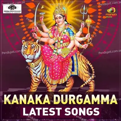 Dunnapothu Dustunni - Nagendhar Dandempally album cover 