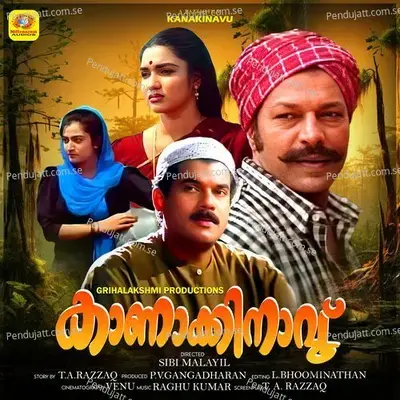 Nenjil Niramizhineerumaai - Female Version - K. S. Chithra album cover 