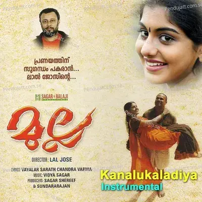 Kanalukaladiya - Vidyasagar album cover 