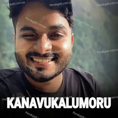 Kanavukalumoru - Bibin Babu album cover 