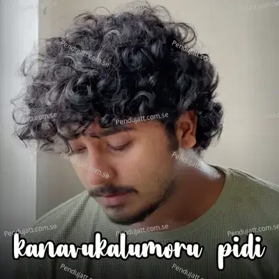 Kanavukalumoru Pidi - Shahal Sidheek album cover 