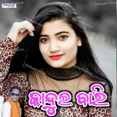 Kandul Bari - Kadam Chhatriya album cover 