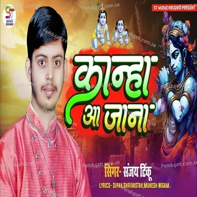 Kanha Aa Jana - Sanjay Tinku album cover 