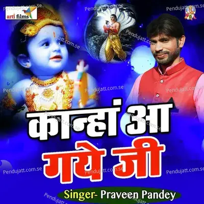 Kanha Aai Gail - Praeen pandey album cover 