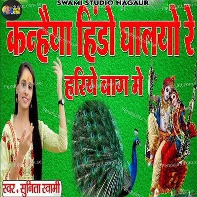 Kanhiya Hindo Ghalyo Re Hariya Baag Me - Sunita Swami album cover 