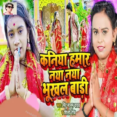 Kaniya Hamar Naya Naya Bhukhal Badi - Shilpi Raj album cover 