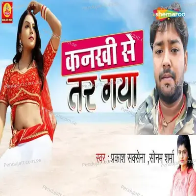 Kankhi Se Tar Gaya - Prakash Saksena album cover 