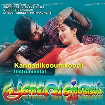 Kannadi - Vidyasagar album cover 