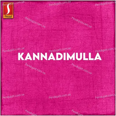 Kannadimulle - Thaju Ponnani album cover 