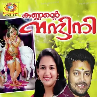 Radhakyum Bhamakyum - Chengannoor Sreekumar album cover 