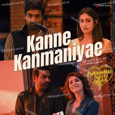 Kanne Kanmaniyae - Koshy Cherry album cover 