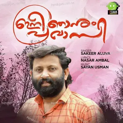 Kanneer Thudakkuvan - Sakeer Aluva album cover 