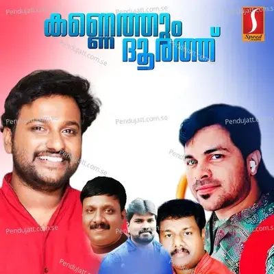 Mazhapeythu Thornnoru - Suneer Venkitangu album cover 