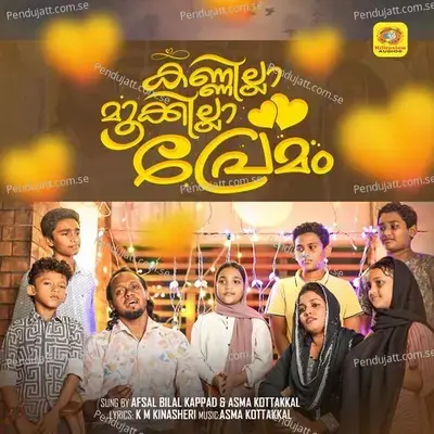 Kannilla Mookkilla Premam - Afsal Bilal Kappad album cover 