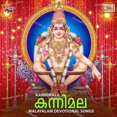 Pamba Theerathe - Biju Narayanan album cover 