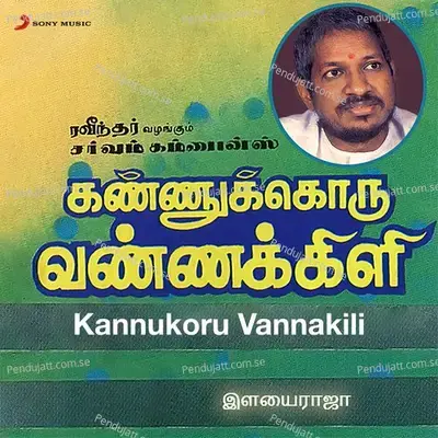 Vaalibam Vaanavil - Ilaiyaraaja album cover 