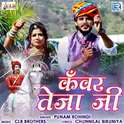 Kanwar Teja Ji - Punam Rohindi album cover 