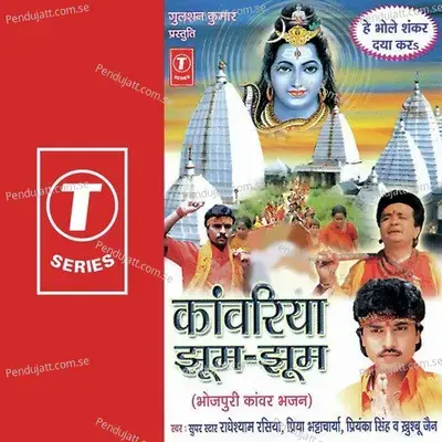 Aare Bachva Re Bachva - Durga Natraj album cover 