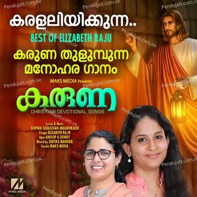 Karalaliyikkunna mp3 song