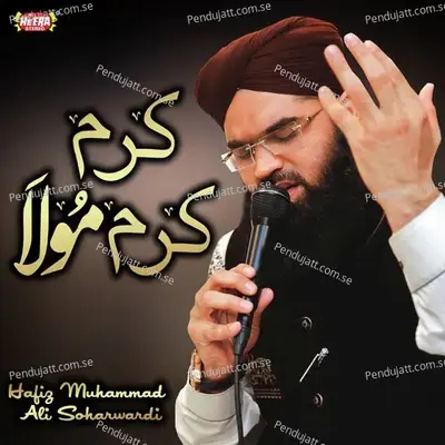 Main Taliyan Nabi Diyan - Hafiz Muhammad Ali Soharwardi album cover 