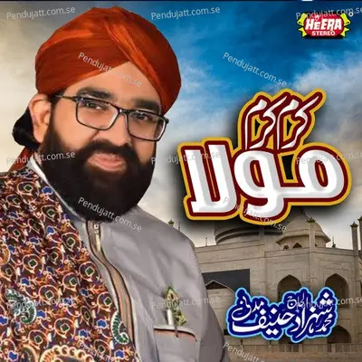 Ya Nabi Salam Alaika - Shahzad Hanif Madni album cover 