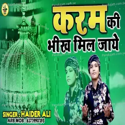 Karam Ki Bheekh Mil Jaye - Haider Ali album cover 