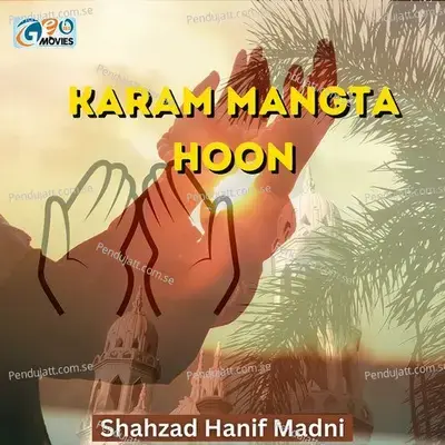 Kya Karu K Yaad Aati Hain Sunehri Jaaliyan - Shahzad Hanif Madni album cover 