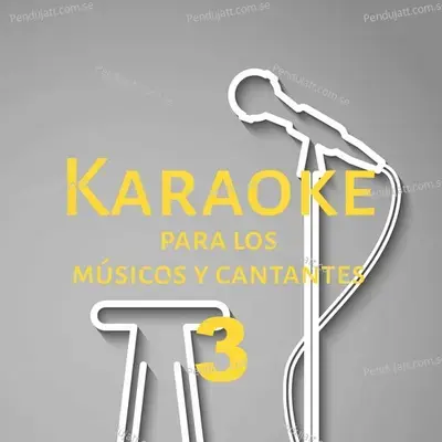 Karaoke Para Los M  sicos Y Cantantes  Vol  3 - Samantha Akkineni cover album