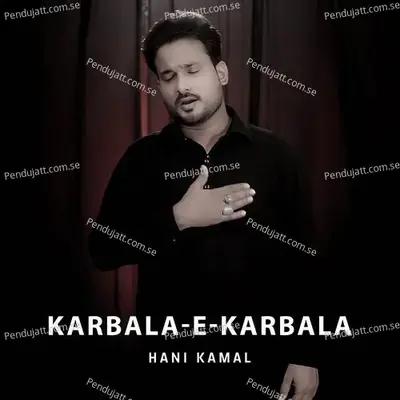 Karbala-E-Karbala - Hani Kamal album cover 