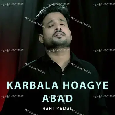 Karbala Hoagye Abad - Hani Kamal album cover 