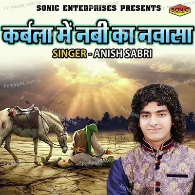 Karbala Main Nabi Ka Nawasa - Anis Sabri album cover 
