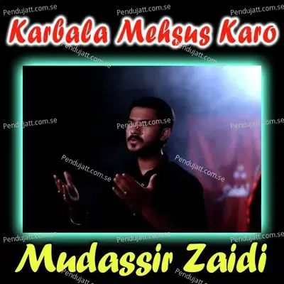 Karbala Mehsus Karo - Mudassir Zaidi album cover 