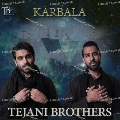 Mera Bacha Ho Azadar - Tejani Brothers album cover 