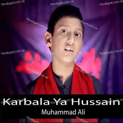 Karbala Ya Hussain - Muhammad Ali album cover 