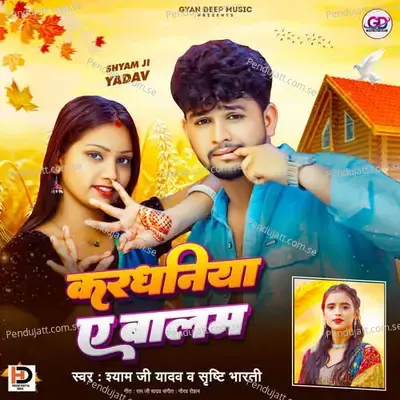 Kardhaniya Ye Balam - Shyam Ji Yadav album cover 