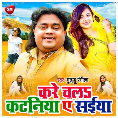 Kare Chala Kataniya A Saiya - Guddu Rangila album cover 