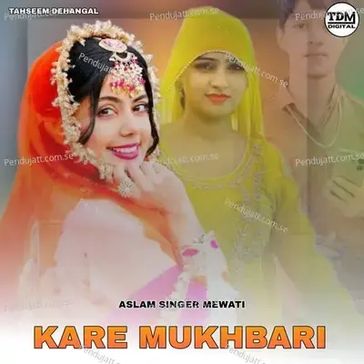 Kare Mukhbari - Aslam Singer Mewati album cover 