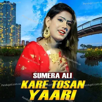 Kare Tosan Yaari - Sumera Ali album cover 