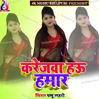 Karejwa Hau Hamar - Anil Kumar cover album
