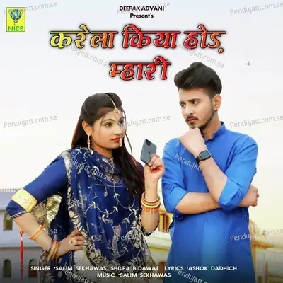 Karela Kiya Hod Mhari - Salim Shekhawas