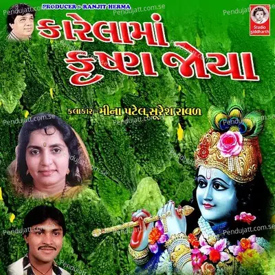 Maru Aakhut Nanu Girdhari - Meena Patel album cover 